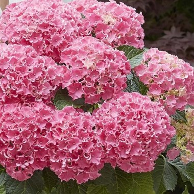 2 — копия — копия — копия (3)4
